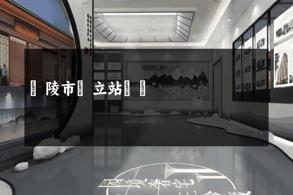銅陵市獨立站運營