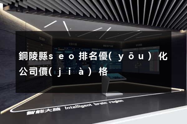 銅陵縣seo排名優(yōu)化公司價(jià)格