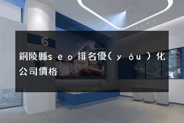 銅陵縣seo排名優(yōu)化公司價格