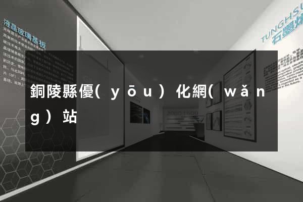 銅陵縣優(yōu)化網(wǎng)站