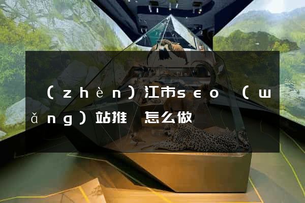 鎮(zhèn)江市seo網(wǎng)站推廣怎么做