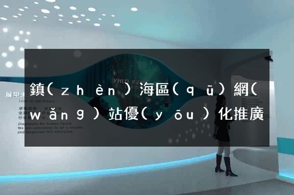 鎮(zhèn)海區(qū)網(wǎng)站優(yōu)化推廣