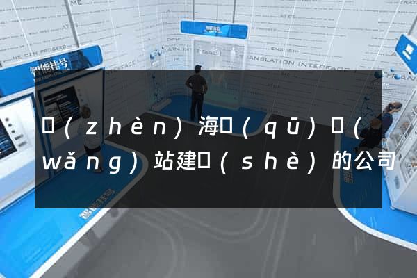 鎮(zhèn)海區(qū)網(wǎng)站建設(shè)的公司