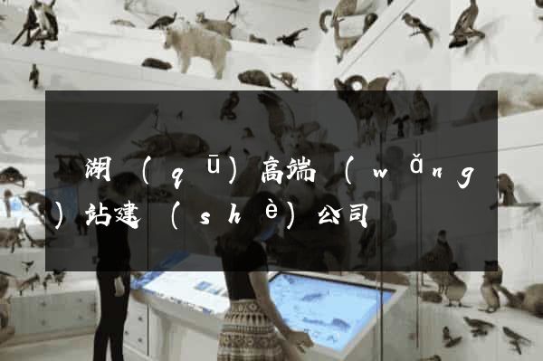 鏡湖區(qū)高端網(wǎng)站建設(shè)公司