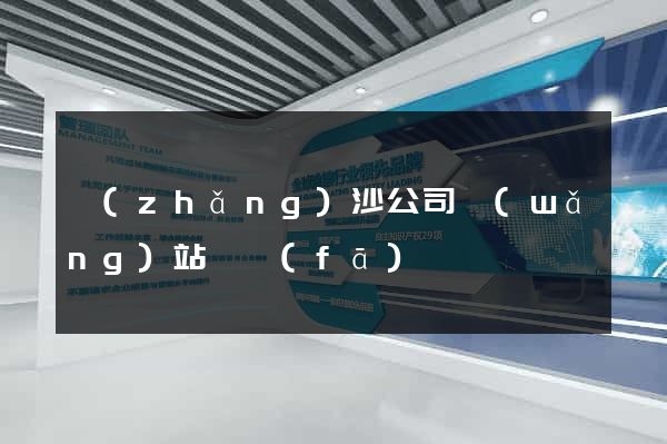 長(zhǎng)沙公司網(wǎng)站開發(fā)