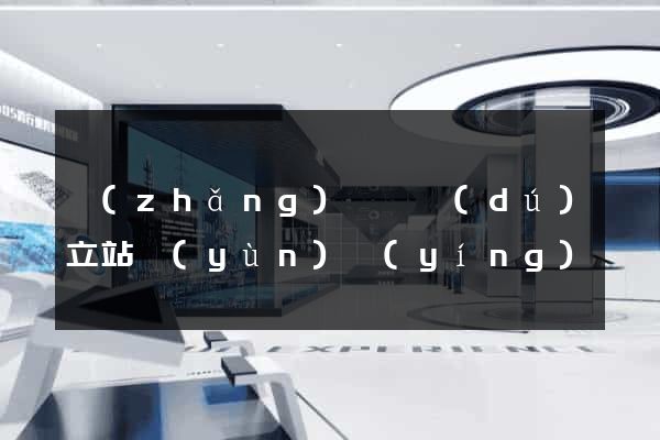 長(zhǎng)豐縣獨(dú)立站運(yùn)營(yíng)