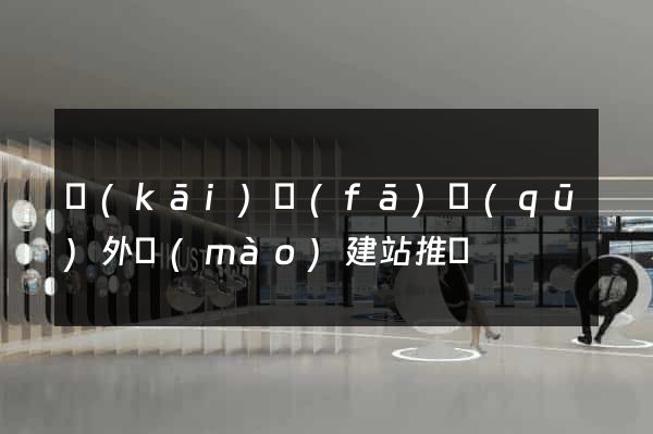 開(kāi)發(fā)區(qū)外貿(mào)建站推廣