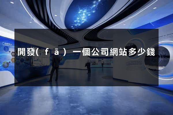 開發(fā)一個公司網站多少錢