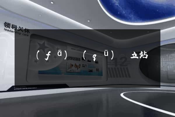 開發(fā)區(qū)獨立站運營