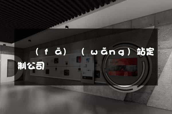 開發(fā)網(wǎng)站定制公司