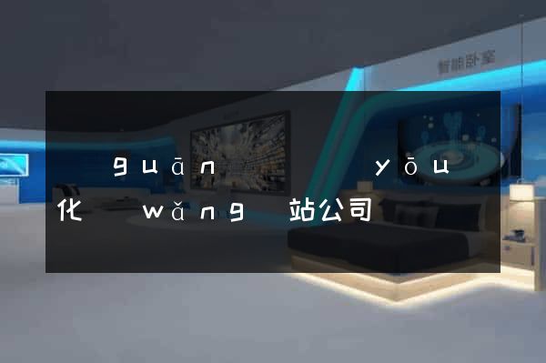 關(guān)鍵詞優(yōu)化網(wǎng)站公司
