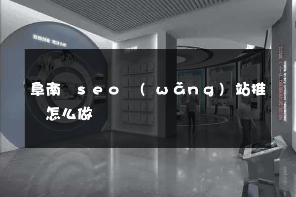 阜南縣seo網(wǎng)站推廣怎么做