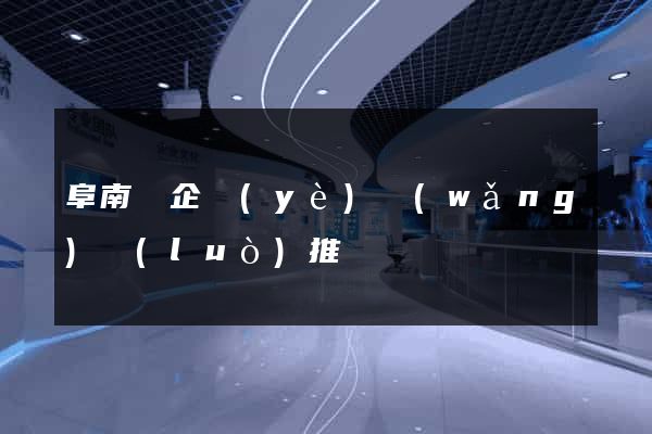 阜南縣企業(yè)網(wǎng)絡(luò)推廣