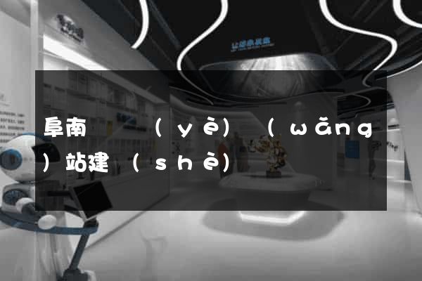 阜南縣專業(yè)網(wǎng)站建設(shè)