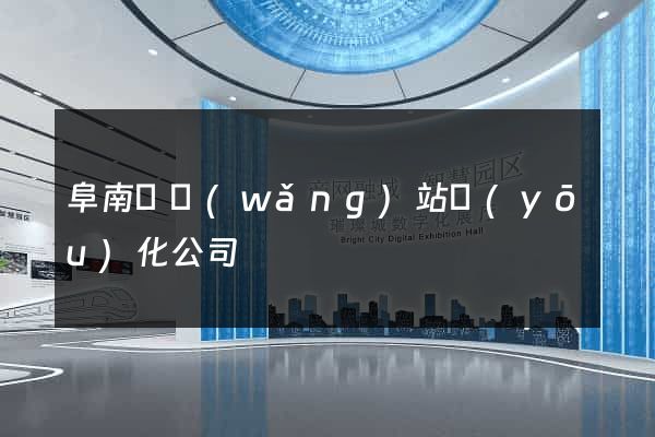 阜南縣網(wǎng)站優(yōu)化公司
