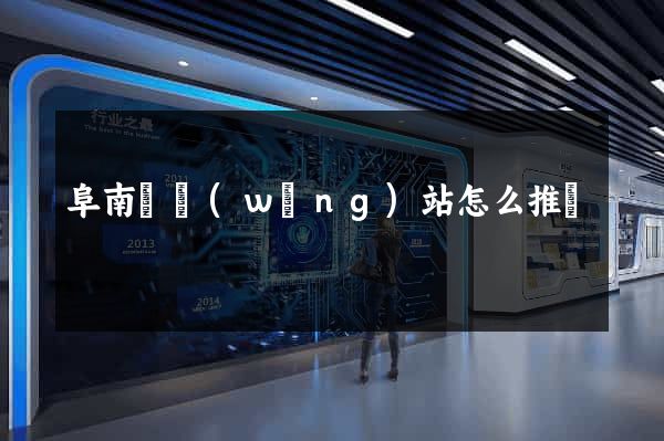 阜南縣網(wǎng)站怎么推廣