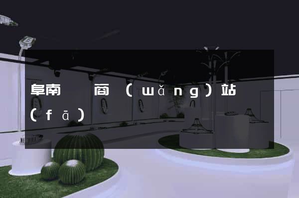 阜南縣電商網(wǎng)站開發(fā)