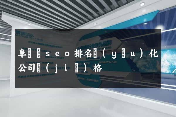 阜寧縣seo排名優(yōu)化公司價(jià)格