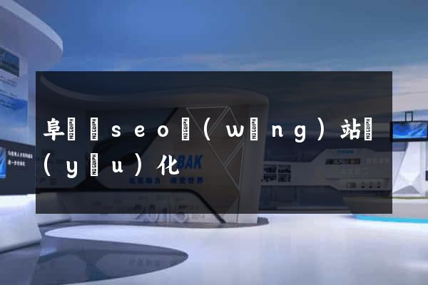 阜寧縣seo網(wǎng)站優(yōu)化
