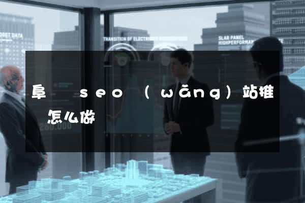 阜寧縣seo網(wǎng)站推廣怎么做