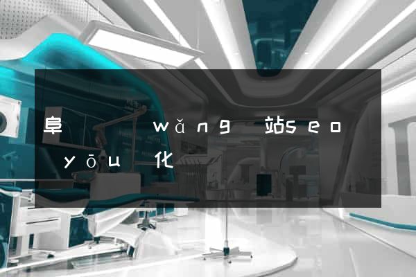 阜寧縣網(wǎng)站seo優(yōu)化