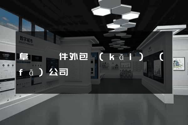 阜寧縣軟件外包開(kāi)發(fā)公司