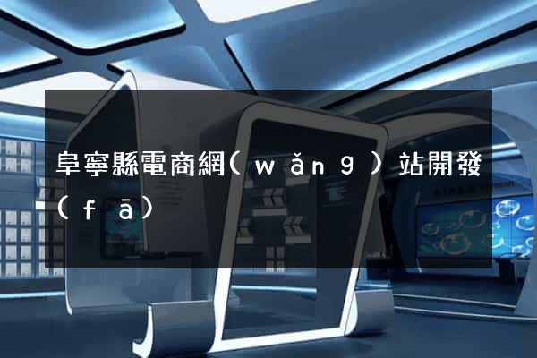 阜寧縣電商網(wǎng)站開發(fā)