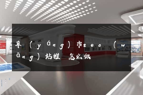 阜陽(yáng)市seo網(wǎng)站推廣怎么做
