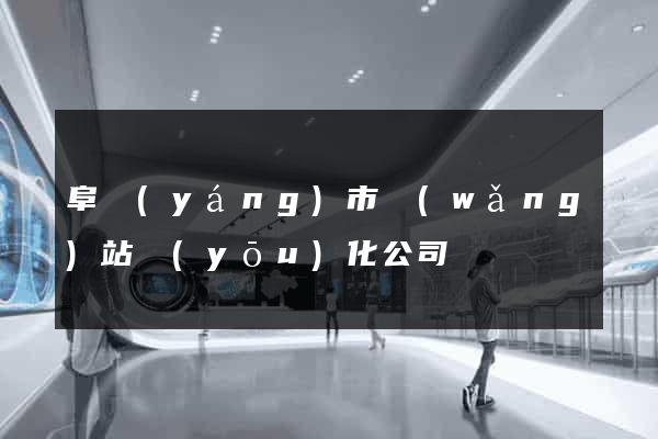 阜陽(yáng)市網(wǎng)站優(yōu)化公司
