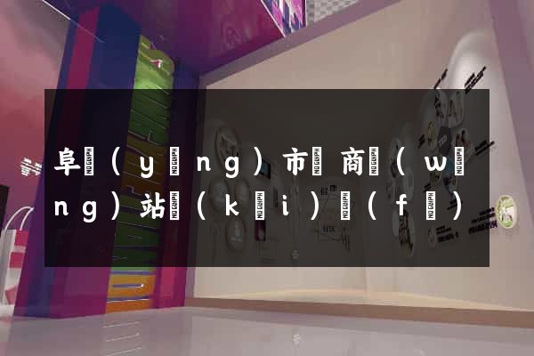 阜陽(yáng)市電商網(wǎng)站開(kāi)發(fā)