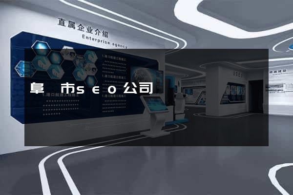 阜陽市seo公司