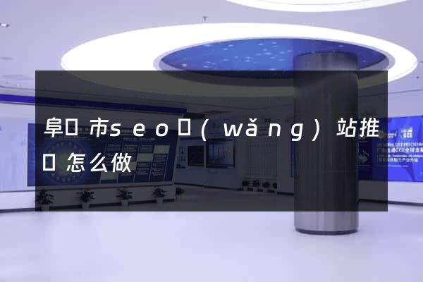 阜陽市seo網(wǎng)站推廣怎么做