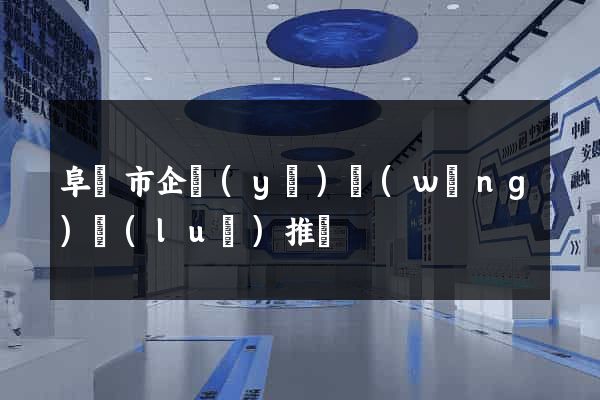 阜陽市企業(yè)網(wǎng)絡(luò)推廣