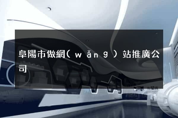阜陽市做網(wǎng)站推廣公司