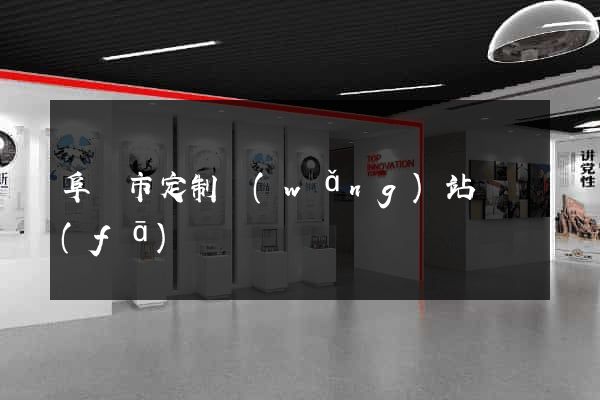 阜陽市定制網(wǎng)站開發(fā)