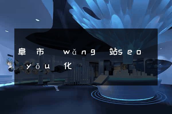 阜陽市網(wǎng)站seo優(yōu)化