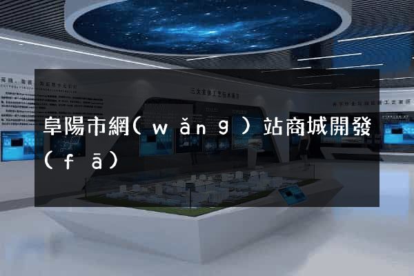 阜陽市網(wǎng)站商城開發(fā)