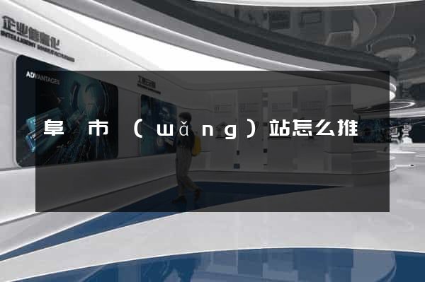 阜陽市網(wǎng)站怎么推廣
