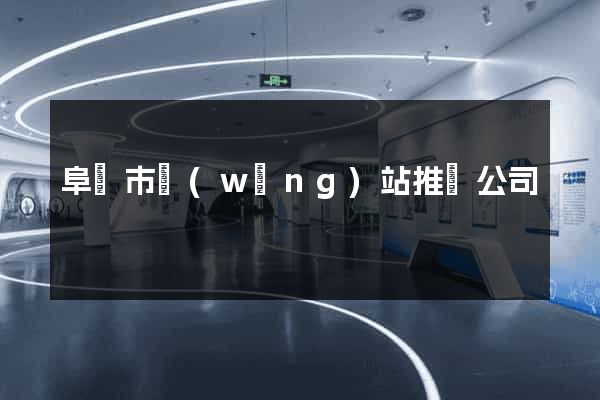 阜陽市網(wǎng)站推廣公司