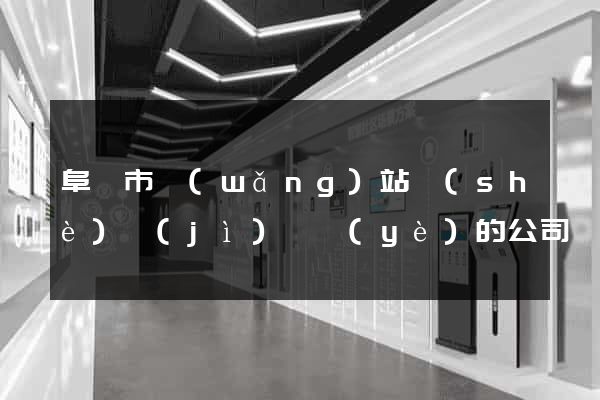 阜陽市網(wǎng)站設(shè)計(jì)專業(yè)的公司