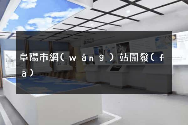 阜陽市網(wǎng)站開發(fā)
