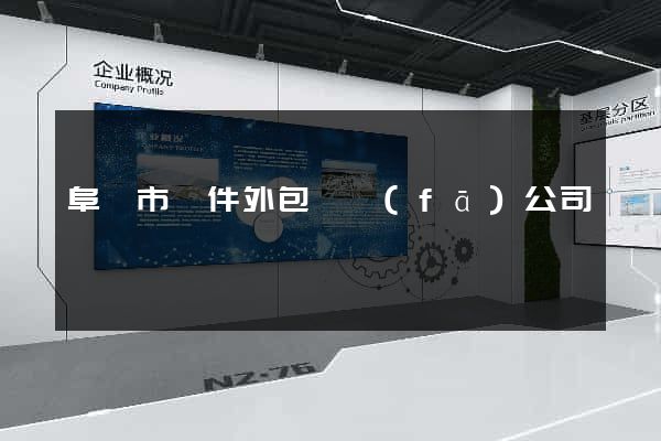阜陽市軟件外包開發(fā)公司