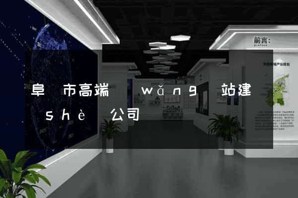 阜陽市高端網(wǎng)站建設(shè)公司
