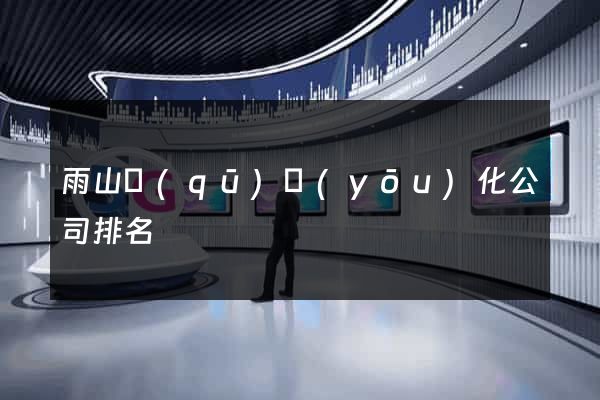 雨山區(qū)優(yōu)化公司排名
