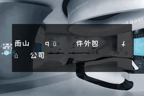 雨山區(qū)軟件外包開發(fā)公司