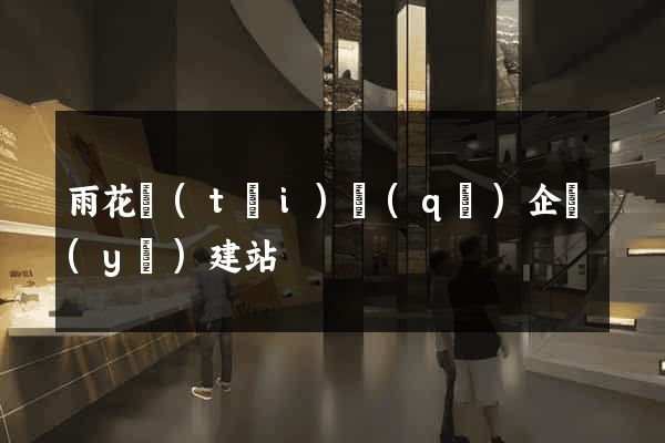 雨花臺(tái)區(qū)企業(yè)建站
