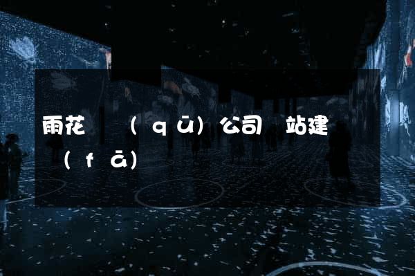 雨花臺區(qū)公司網站建設開發(fā)