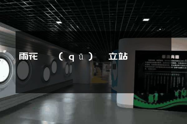 雨花臺區(qū)獨立站運營