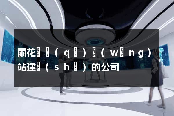 雨花臺區(qū)網(wǎng)站建設(shè)的公司