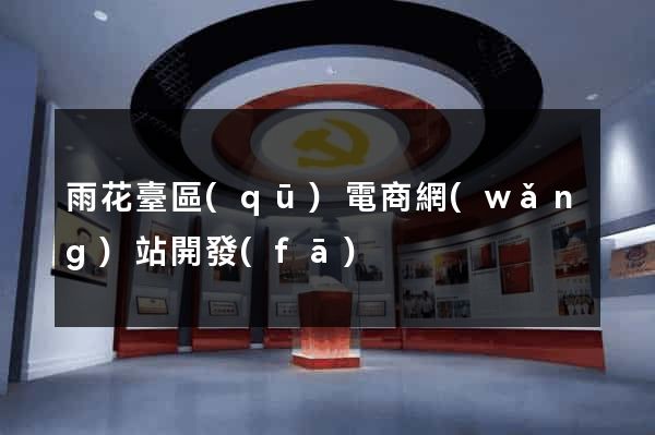 雨花臺區(qū)電商網(wǎng)站開發(fā)